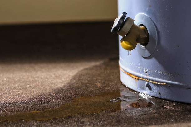 Best 24-hour water damage restoration  in Newport, WA
