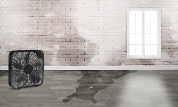 Best Residential water damage restoration  in Newport, WA