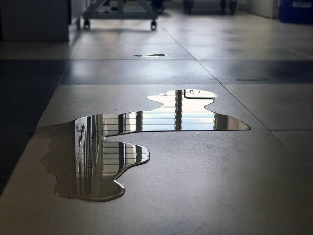 Best Water damage restoration near me  in Newport, WA