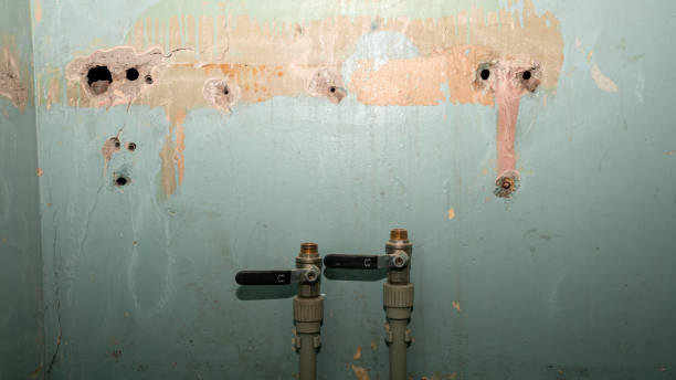Best Flood damage cleanup  in Newport, WA