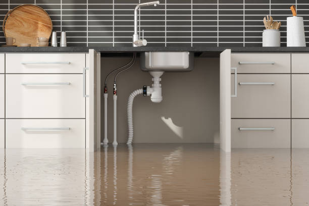 Best Ceiling water damage repair  in Newport, WA