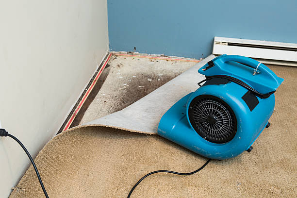 Best Fire Damage Restoration  in Newport, WA